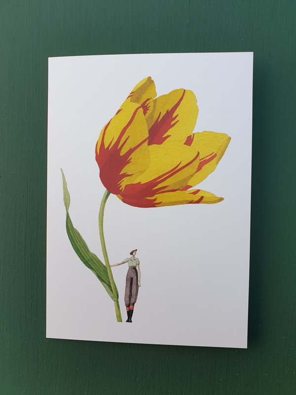 Laura Stoddart Tulip Card Sally Bourne Interiors London N10 Muswell Hill Greetings Card